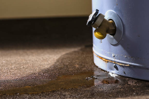 Best Professional water damage repair  in Erie, IL