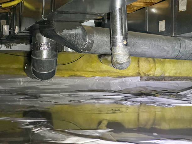 Best Sewage cleanup and water damage restoration  in Erie, IL